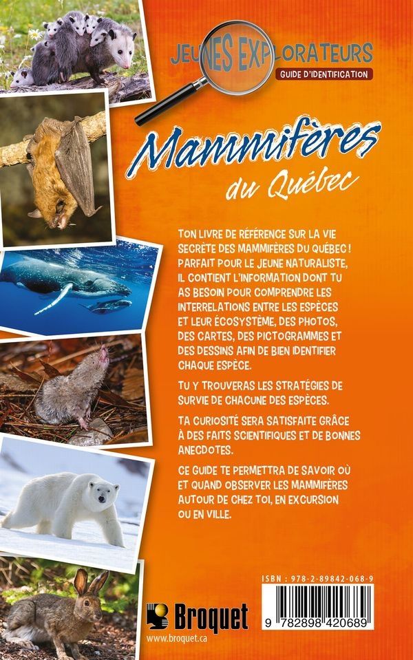 Mammifères du Québec - Guide d'identification