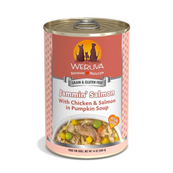 Weruva Jammin&#39; Salmon in Pumpkin Soup Canned Dog Food 14 oz