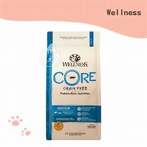 Wellness CORE Indoor Salmon &amp; Herring Recipe Dry Cat Food 11 lb