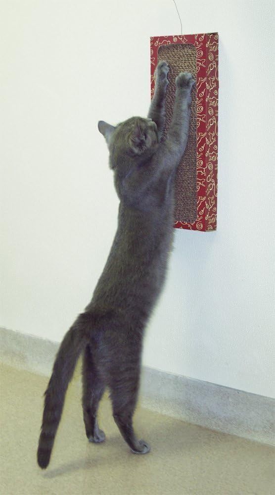 Wall Scratcher