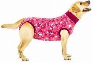 Suitical Recovery Suit Pink Cam Dog XXL