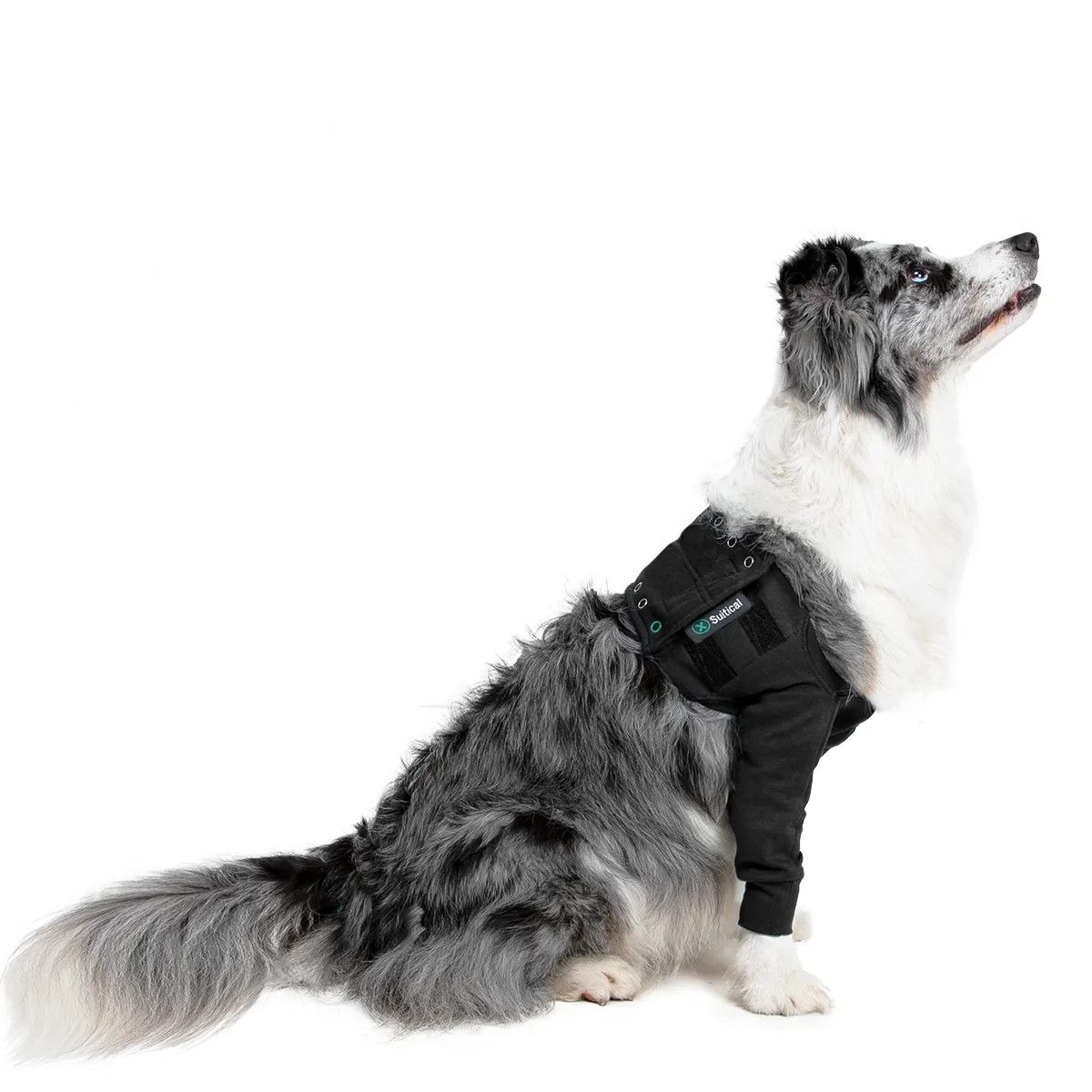 Suitical Recovery Dble Slve Dog Med