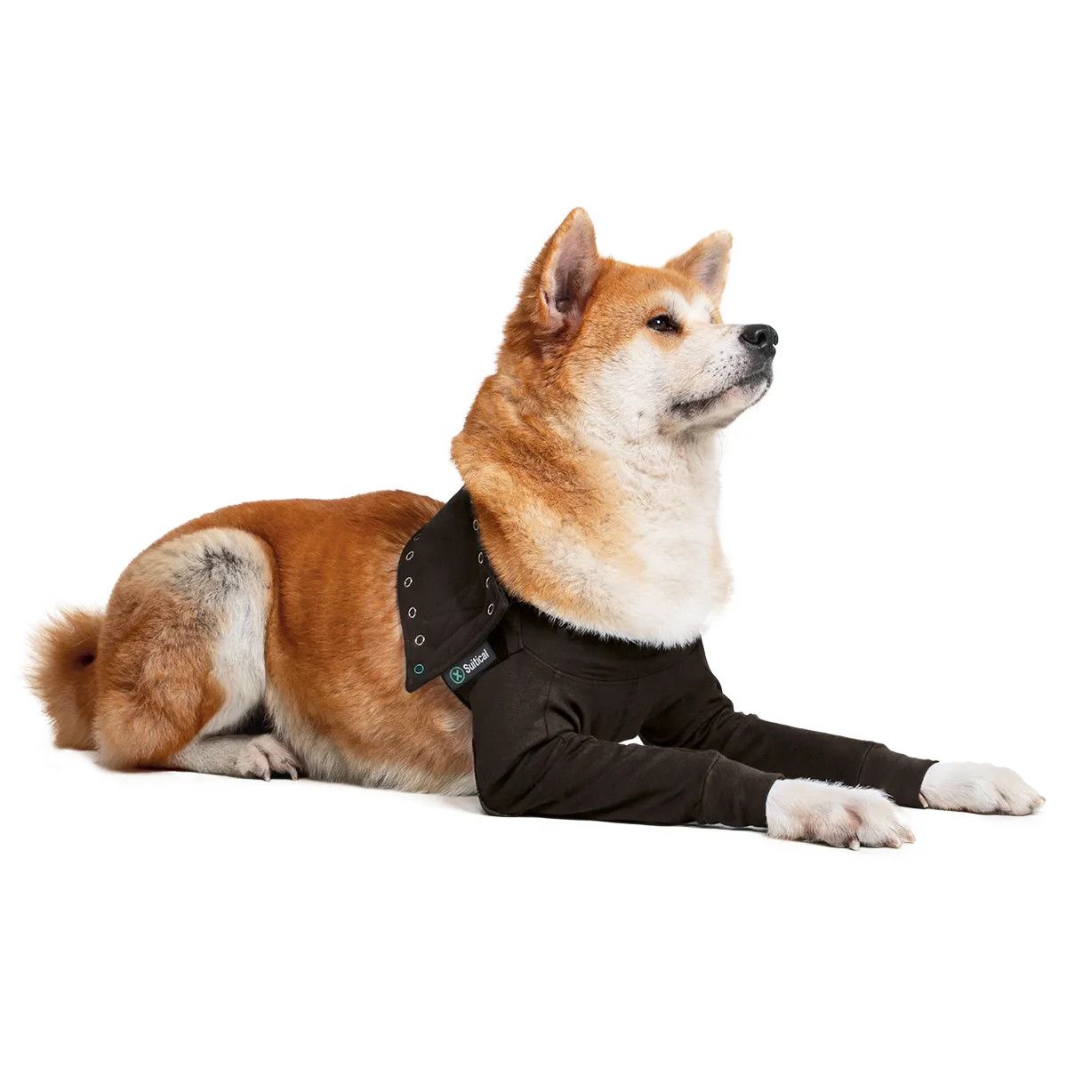 Suitical Recovery Dble Slve Dog xl