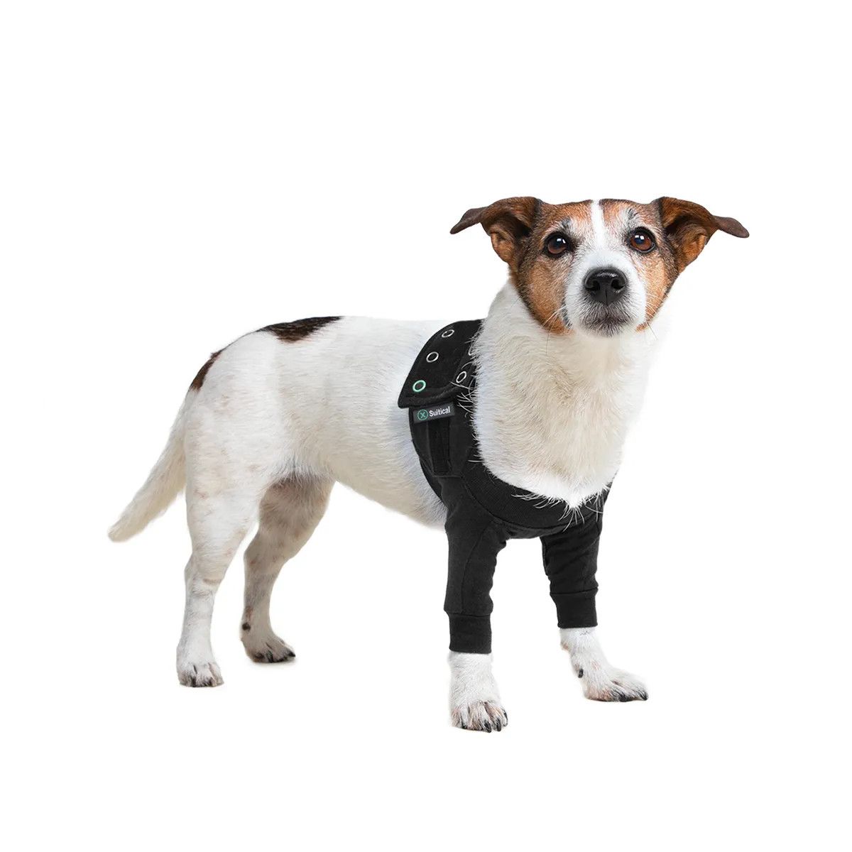 Suitical Recovery Dble Slve Dog 3xs