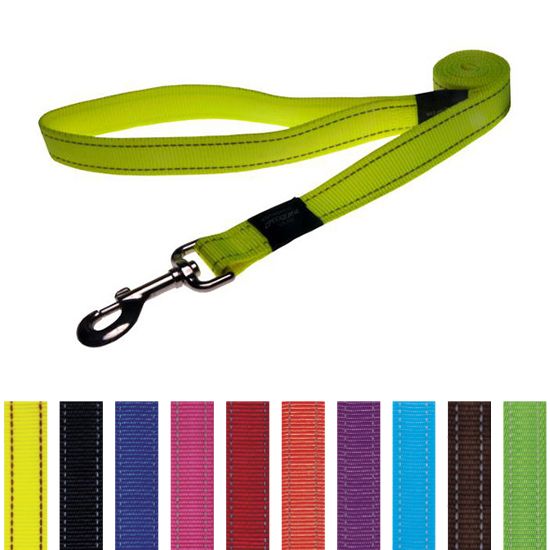 Rogz Utility Lead Fixed Orange med