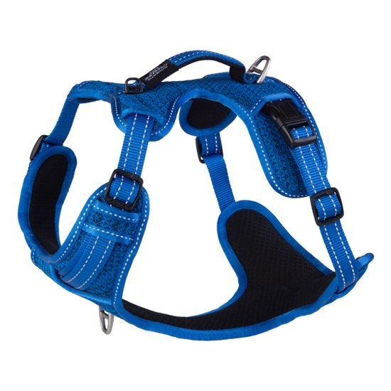 Rogz Explore Padded Harness Large Blue Reflective