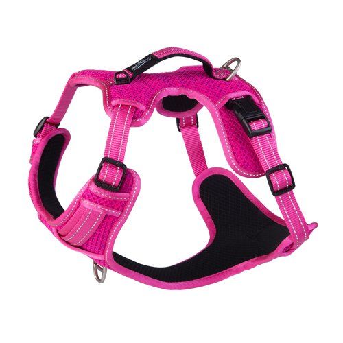 Rogz Explore Padded Harness Large Pink Reflective
