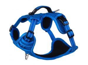 Rogz Explore Padded Harness Small Blue Reflective