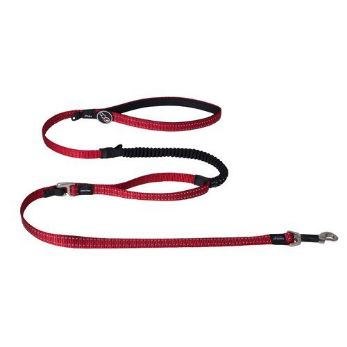 Rogz Control Shock Absorbing Bungee Lead Medium Red