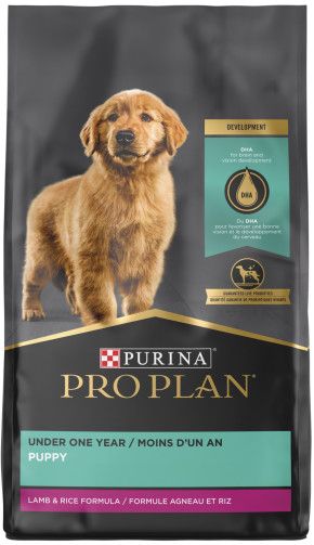 Purina Pro Plan Dog Development Puppy Lamb &amp; Rice 15.4kg