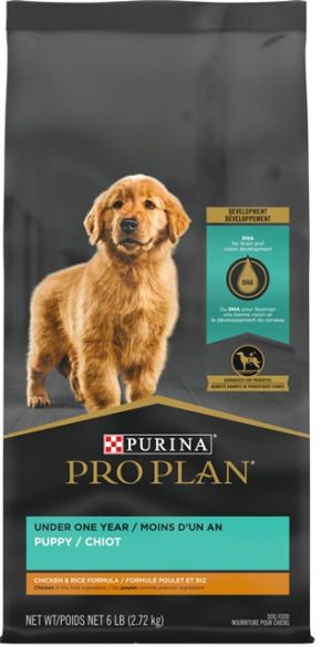 Purina Pro Plan Development Puppy Chicken &amp; Rice 15.4 kg