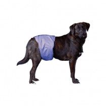 PoochPants Reusable Male Wrap X-Large