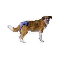 Pooch Pad Poochpants Reusable Diapers Blue XL