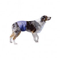 Pooch Pad Poochpants Reusable Male Wrap Large