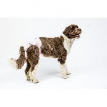Pooch Pad Poochpants Reusable Diapers Pink X-Large