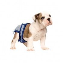 Pooch Pad Poochpant Reusable Small 8 To 14 Lbs
