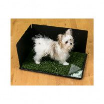 Pooch Pad Classic Potty with Hike Shield 16&quot; x 24&quot;