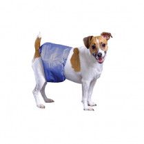 Pooch Pad Poochpant Male Wrap Small 12&quot; To 15&quot;