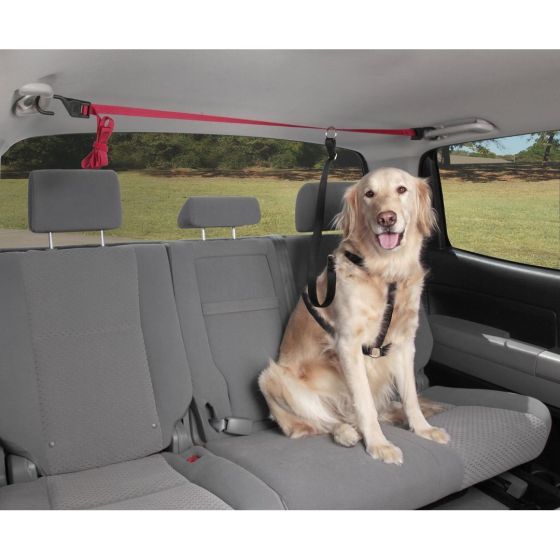 Petsafe Happy Ride Zipline