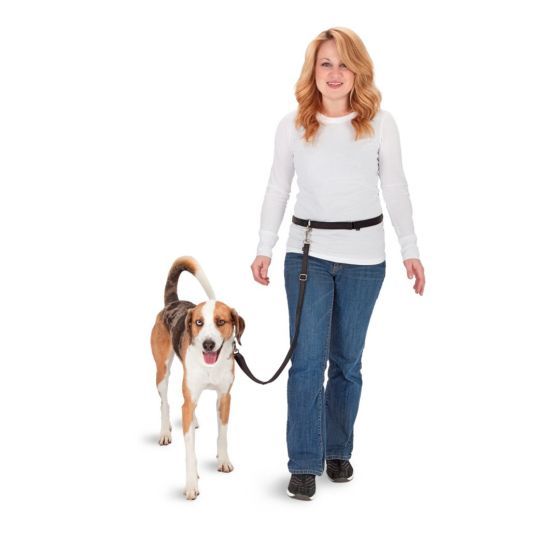 Petsafe Hands Free Leash Black Dog