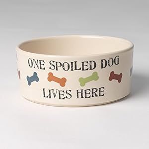 Petrageous One Spoiled Dog Bowl 5.5 Cups