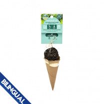Oxbow Celebration Cone