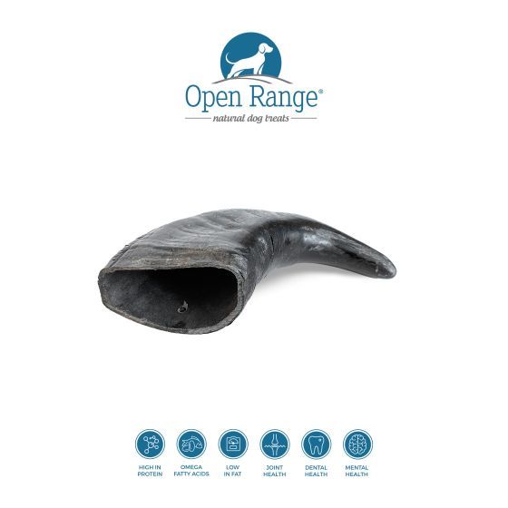 Open Range Water Buffalo Horn