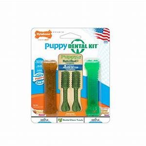 Nylabone Puppy Dental Pack Petite 4 Count