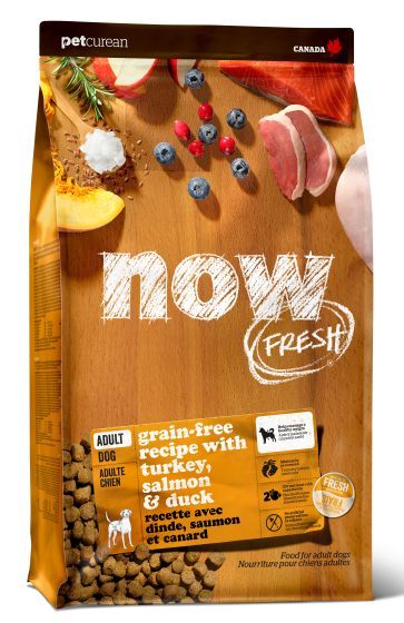 Now Fresh Grain Free Adult 22Lb