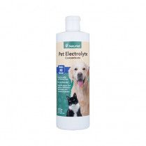 Naturvet Pet Electrolyte Concentrate for Dogs and Cats 16 oz