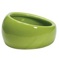 Living World Ergonomic Dish Small 120 Ml (4.22 Oz) Green/Ceramic