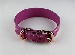 Lacets Leather Collar Purple 1/2X10Inch
