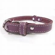 Lacets Leather Collar Purple 1 1/4X26Inch