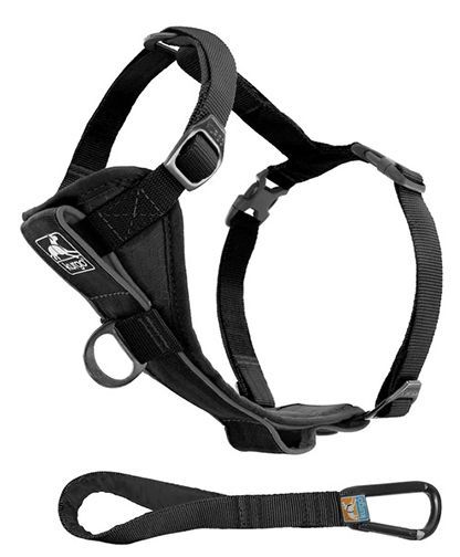 Kurgo Tru Fit Smart Harness Quick Release With Seatbelt Teather Black Medium Dog 10-25lb 1pc