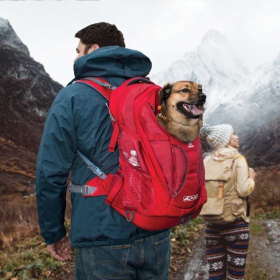 Kurgo Gtrain Dog Carrier Backpack Up To 25lbs Red Dog 1pc
