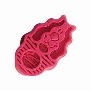 Kong Zoomgroom Raspberry Small For Puppy