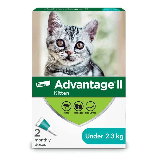 Advantage II - Kitten Once-A-Month Topical Flea Treatment - Under 2.3 kg, Size: 2 Dose