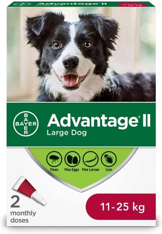 Advantage II - Large Dog Once-A-Month Topical Flea Treatment - 11 to 25 kg, Size: 2 Dose