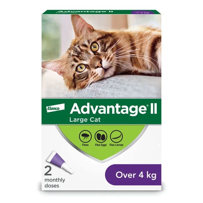 Advantage II - Large Cat Once-A-Month Topical Flea Treatment - Over 4 kg, Size: 2 Dose