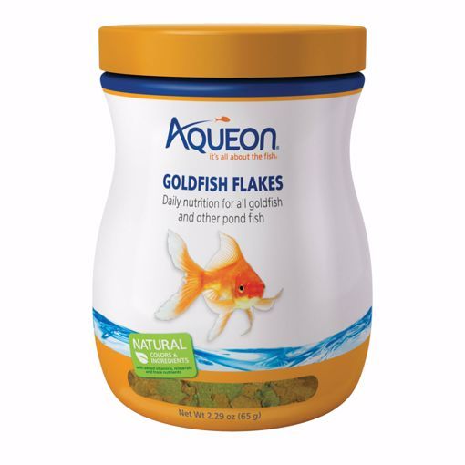 Aqueon Goldfish