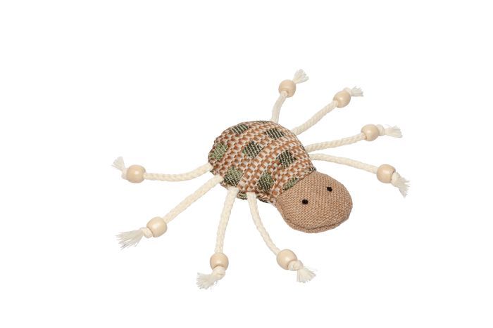 Bud-Z Spider Cat