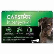 Capstar Oral Flea Tabs Lg D 6Pkg