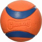 Chuckit! Ultra Ball Xlarge