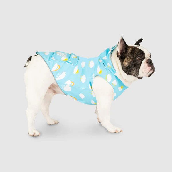Canada Pooch Torrential Tracker Cloud 14