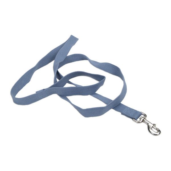 Coastal Blue Leash 6&quot;