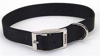 Coastal Black Collar 22&quot;