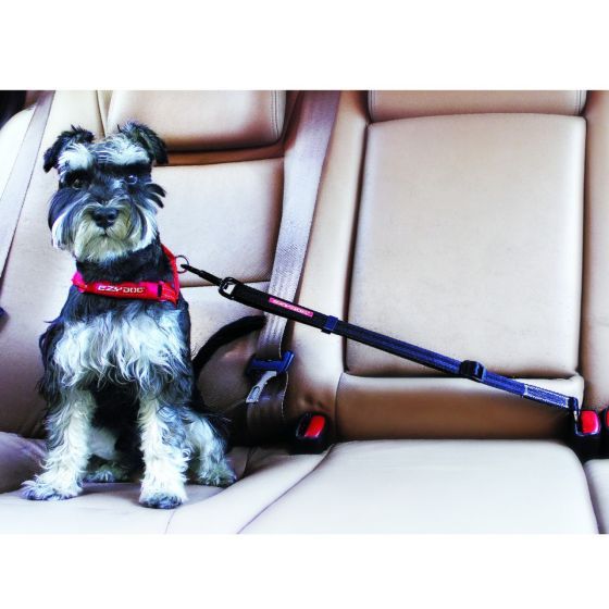 Ezydog Click Adjustable Car Restraint Dog