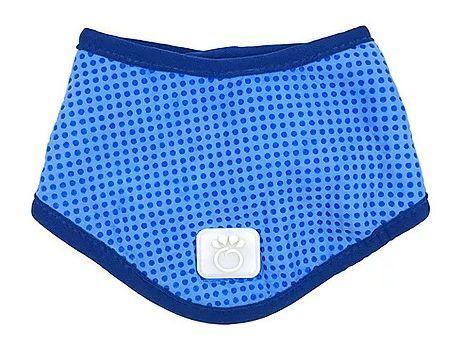 GF Pet Ice Band Blue Xsmall Dog