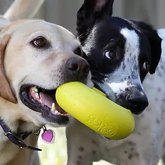 Godog Rhinoplay Cirq Yellow