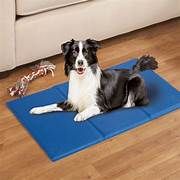 Goo-eez Cooltek Gel Cooling Pet Mat XXL